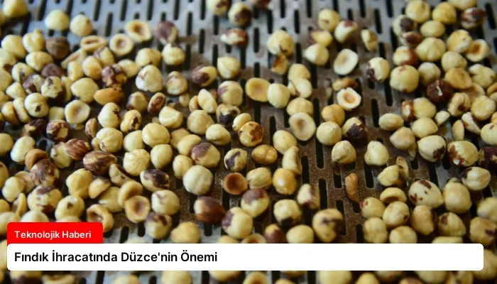 Fındık İhracatında Düzce’nin Önemi
