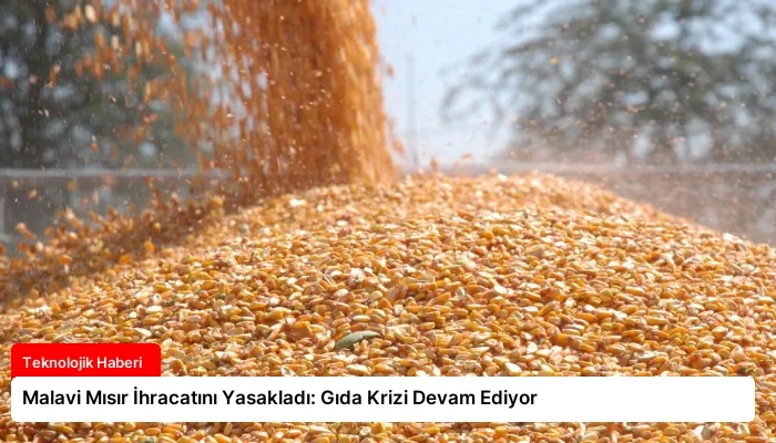 Malavi Mısır İhracatını Yasakladı: Gıda Krizi Devam Ediyor