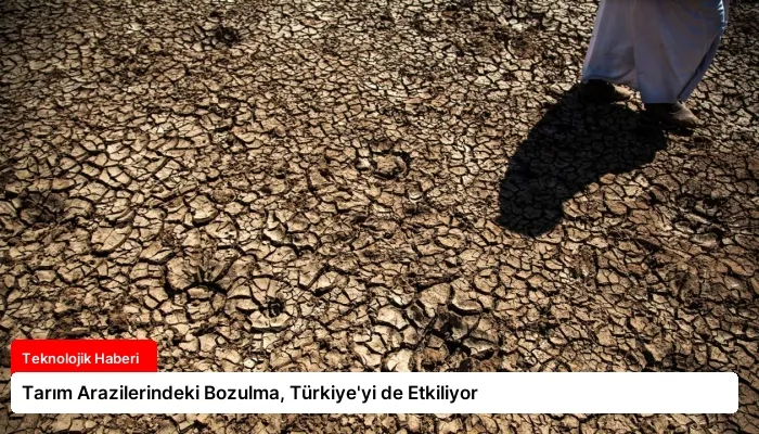 Tarım Arazilerindeki Bozulma, Türkiye’yi de Etkiliyor