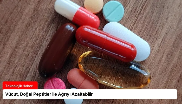 Vücut, Doğal Peptitler ile Ağrıyı Azaltabilir