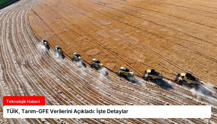 TÜİK, Tarım-GFE Verilerini Açıkladı: İşte Detaylar