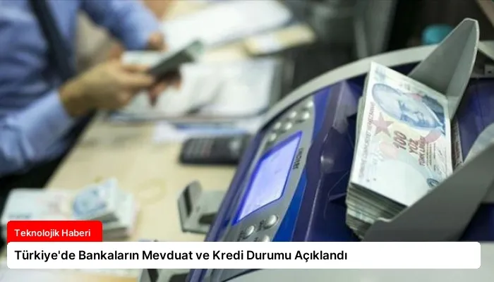 Türkiye’de Bankaların Mevduat ve Kredi Durumu Açıklandı