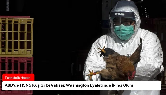 ABD’de H5N5 Kuş Gribi Vakası: Washington Eyaleti’nde İkinci Ölüm
