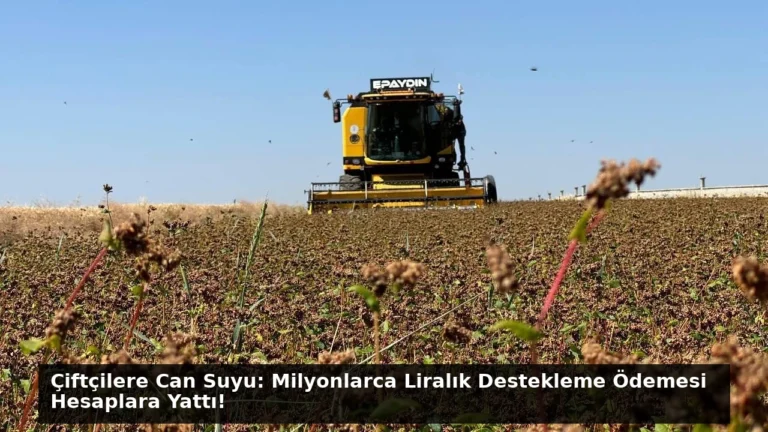Çiftçilere Can Suyu: Milyonlarca Liralık Destekleme Ödemesi Hesaplara Yattı!