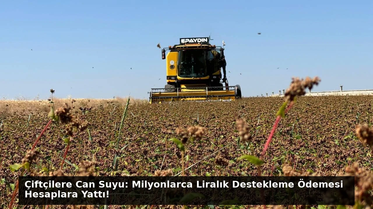 Çiftçilere Can Suyu: Milyonlarca Liralık Destekleme Ödemesi Hesaplara Yattı!