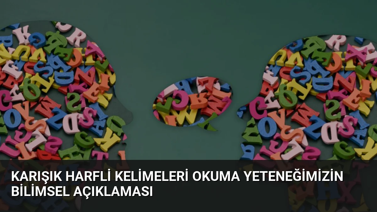 Karışık Harfli Kelimeleri Okuma Yeteneğimizin Bilimsel Açıklaması