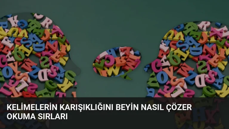 Kelimelerin Karışıklığını Beyin Nasıl Çözer Okuma Sırları