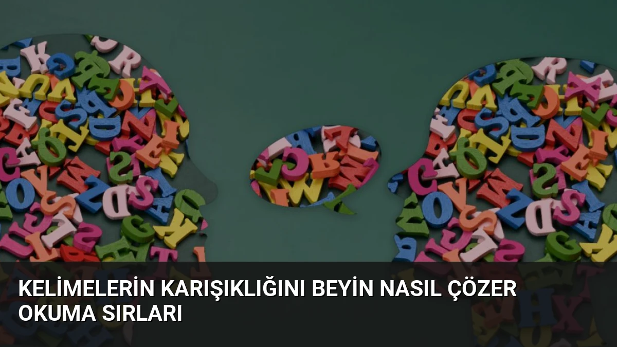 Kelimelerin Karışıklığını Beyin Nasıl Çözer Okuma Sırları