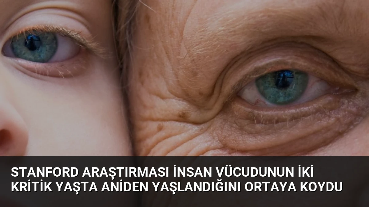 Stanford Araştırması İnsan Vücudunun İki Kritik Yaşta Aniden Yaşlandığını Ortaya Koydu