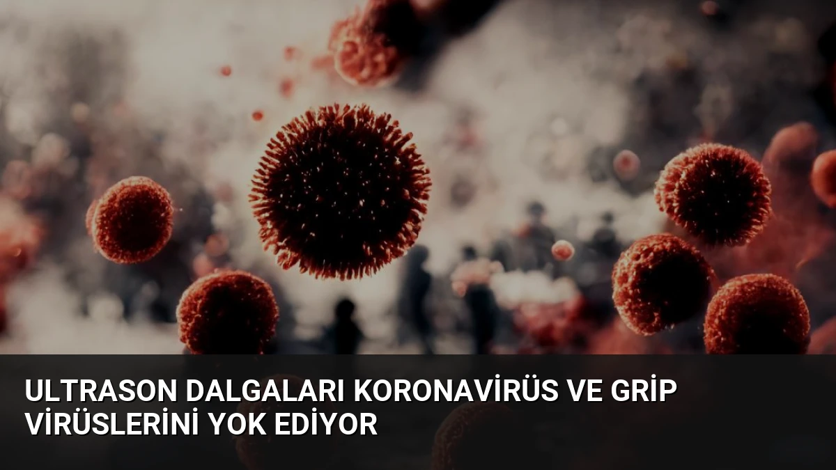 Ultrason Dalgaları Koronavirüs ve Grip Virüslerini Yok Ediyor