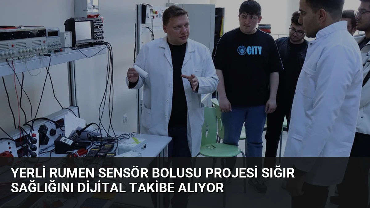 Yerli Rumen Sensör Bolusu Projesi Sığır Sağlığını Dijital Takibe Alıyor