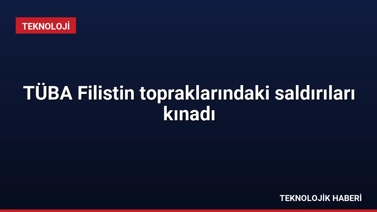TÜBA Filistin topraklarındaki saldırıları kınadı