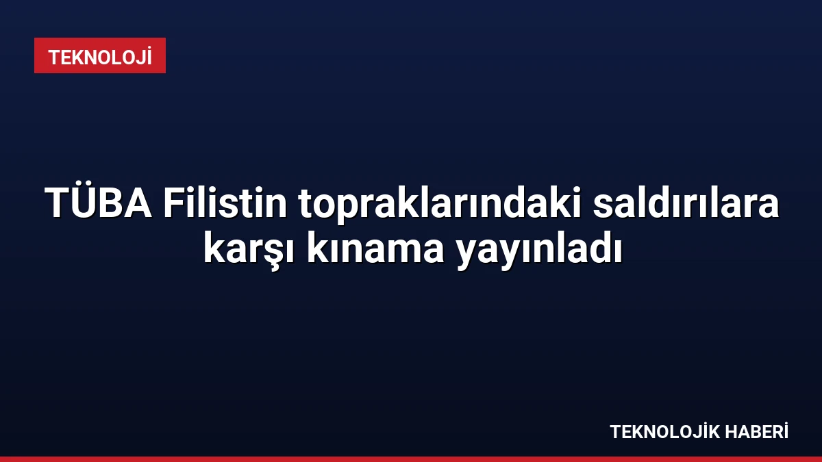 TÜBA Filistin topraklarındaki saldırılara karşı kınama yayınladı