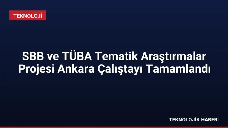 SBB ve TÜBA Tematik Araştırmalar Projesi Ankara Çalıştayı Tamamlandı
