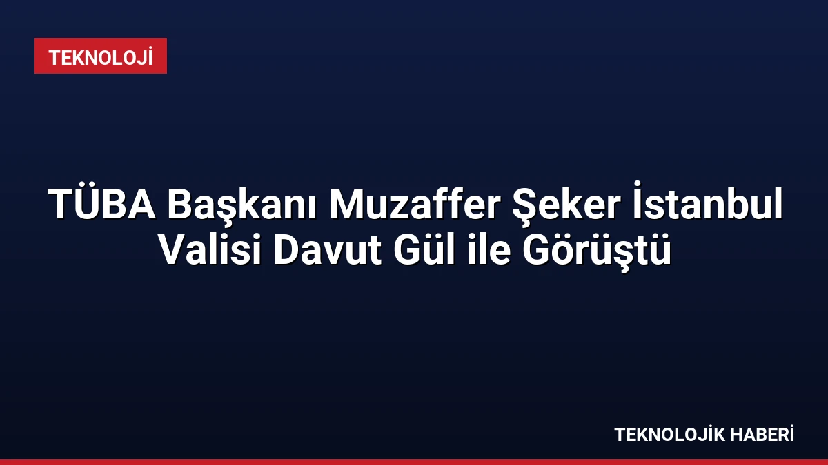 TÜBA Başkanı Muzaffer Şeker İstanbul Valisi Davut Gül ile Görüştü