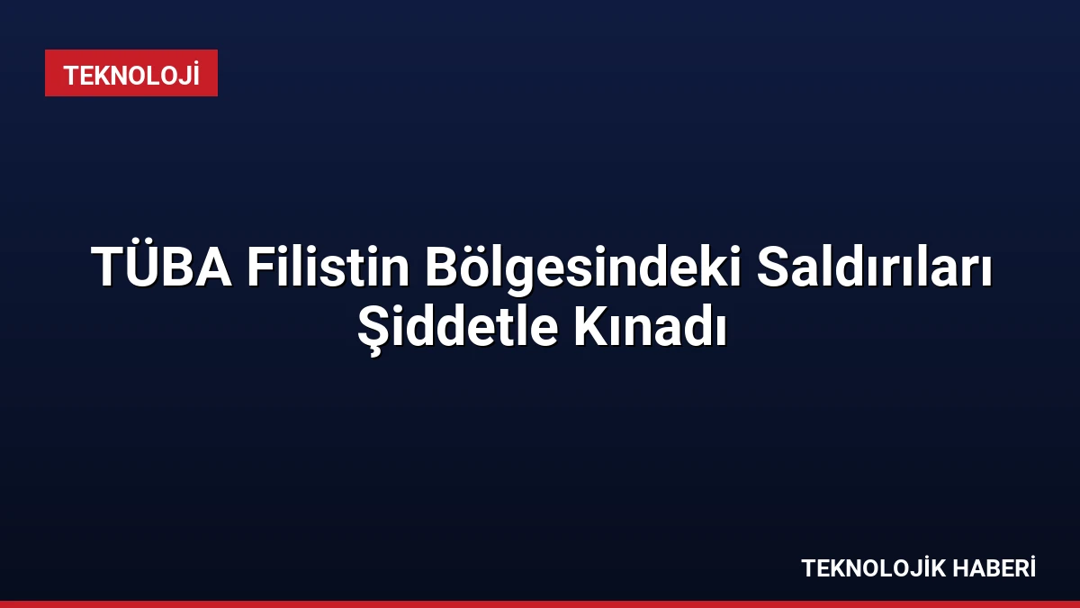 TÜBA Filistin Bölgesindeki Saldırıları Şiddetle Kınadı